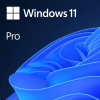 Windows 11 Pro 64 Bit (FPP) HAV-00163 USB